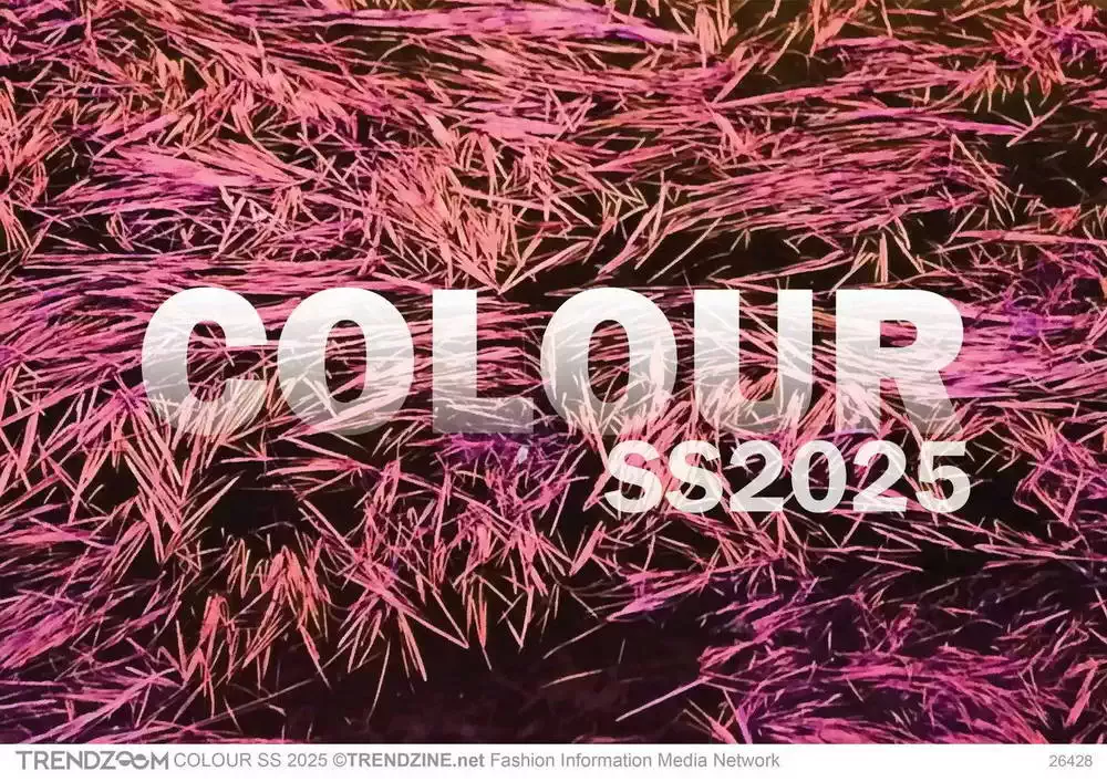 COLOUR Forecast SS 2025 TRENDZOOM