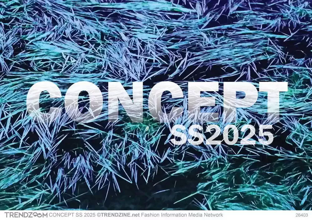 CONCEPT Forecast SS 2025 TRENDZOOM