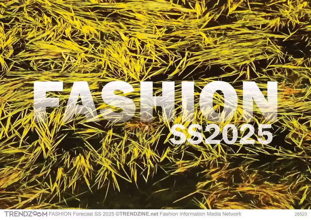 FASHION Forecast SS 2025 Women Men Youth Apparel Accessories
